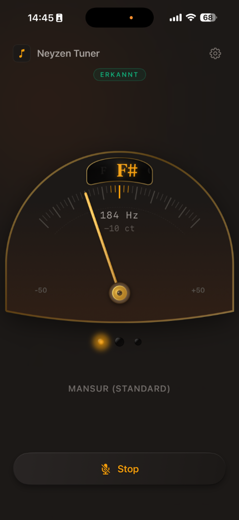 Präzises analoges Gauge-Design